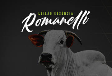 LEILÃO ESSÊNCIA ROMANELLI